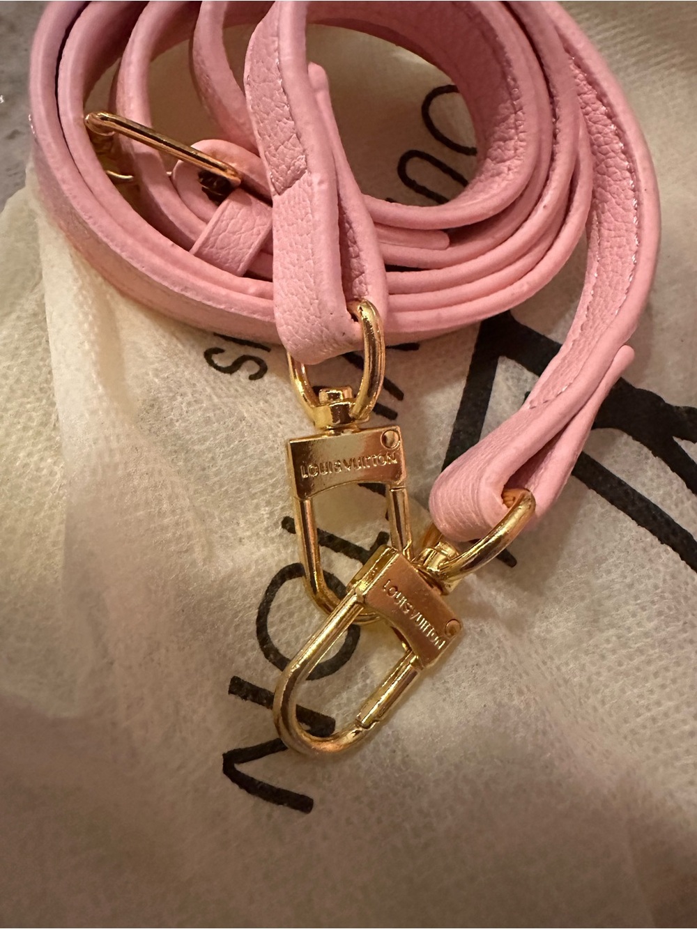 Pink Monogram Mini Vanity Crossbody - Picture 6 of 9